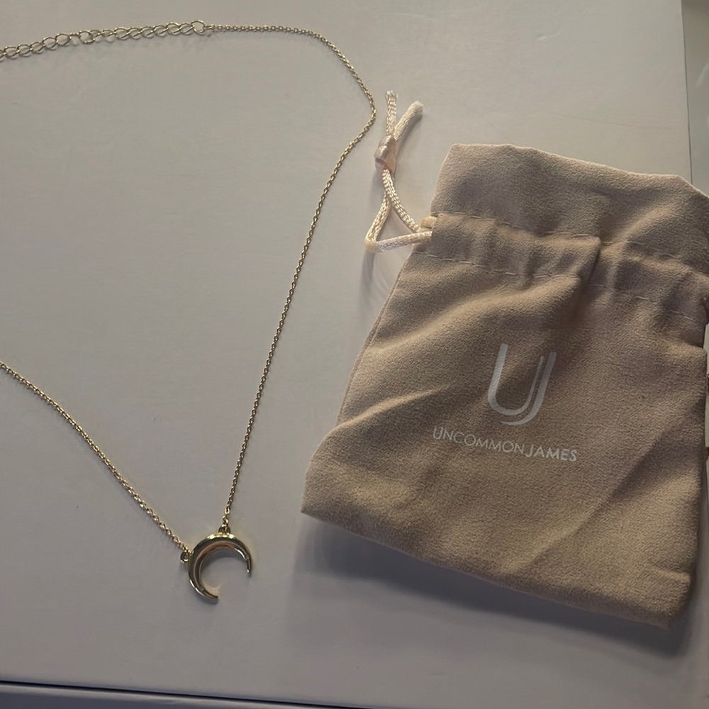 Uncommon James moon necklace